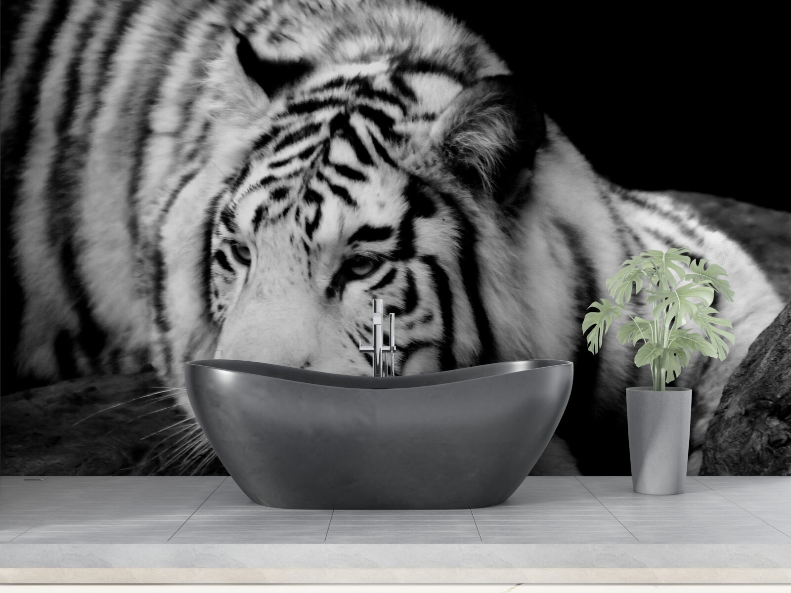 Fototapet tigru negru și alb drăguț