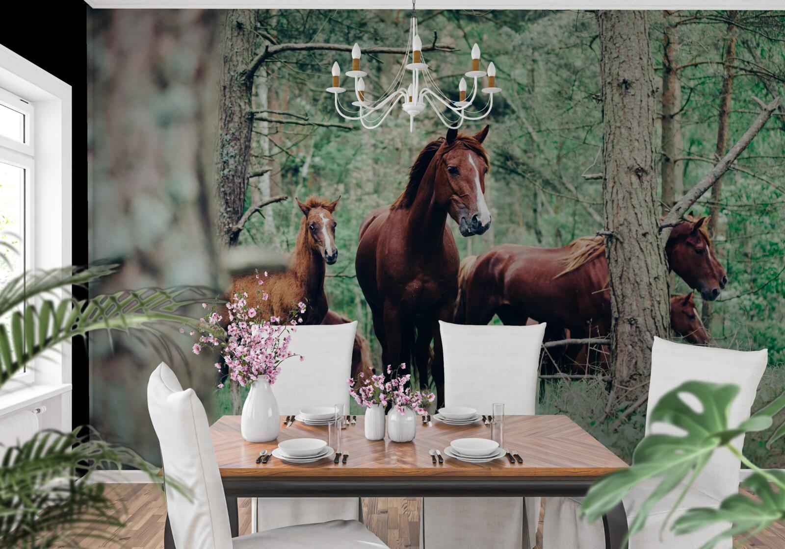 Fototapet cai plimbare în pădure în primăvară