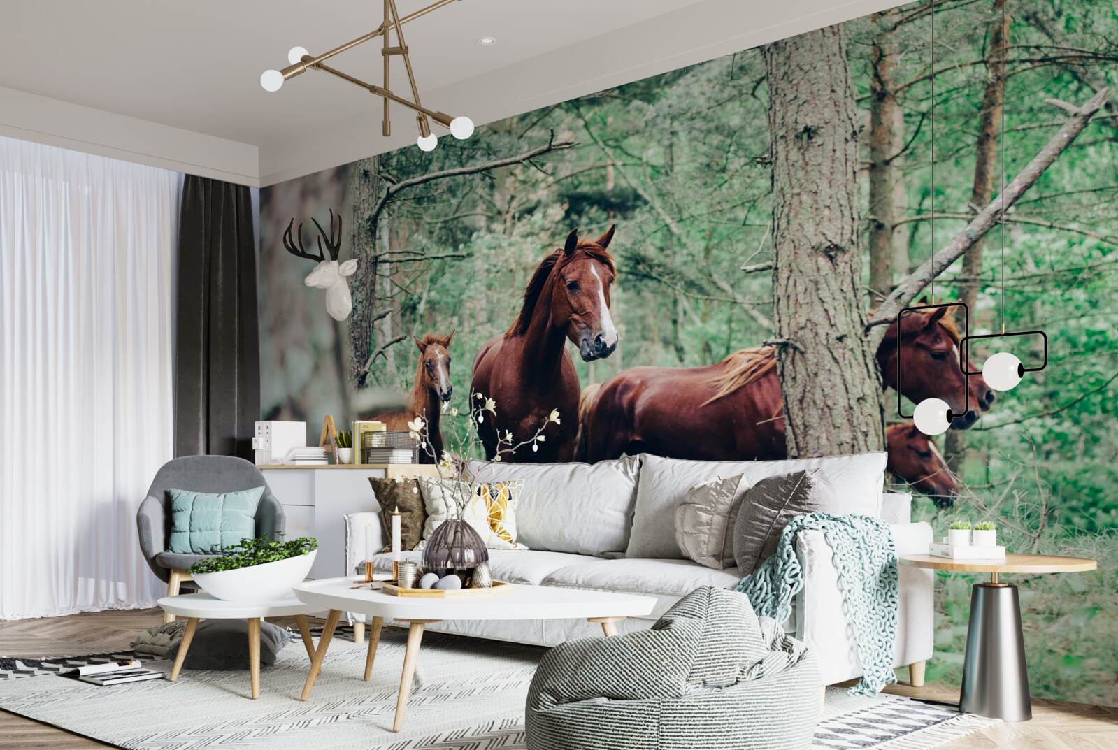 Fototapet cai plimbare în pădure în primăvară