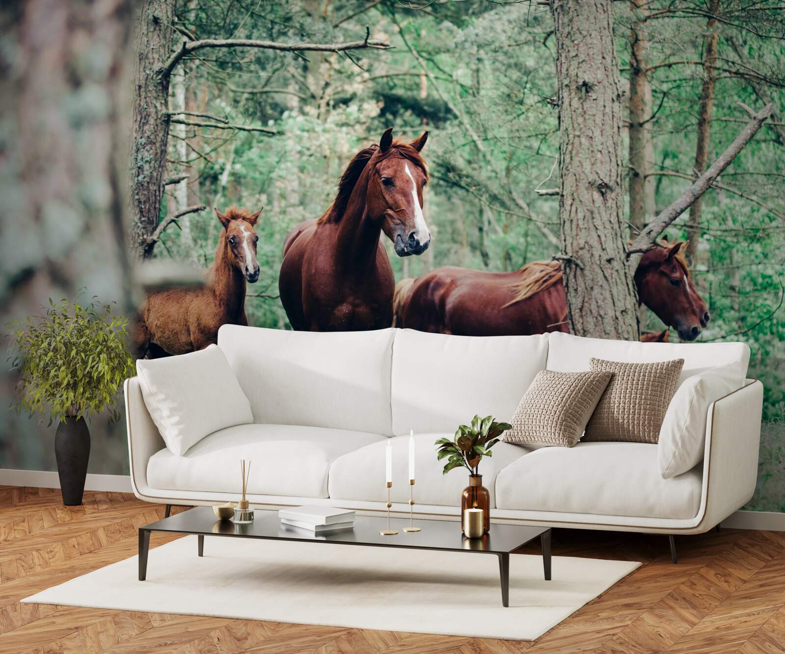 Fototapet cai plimbare în pădure în primăvară