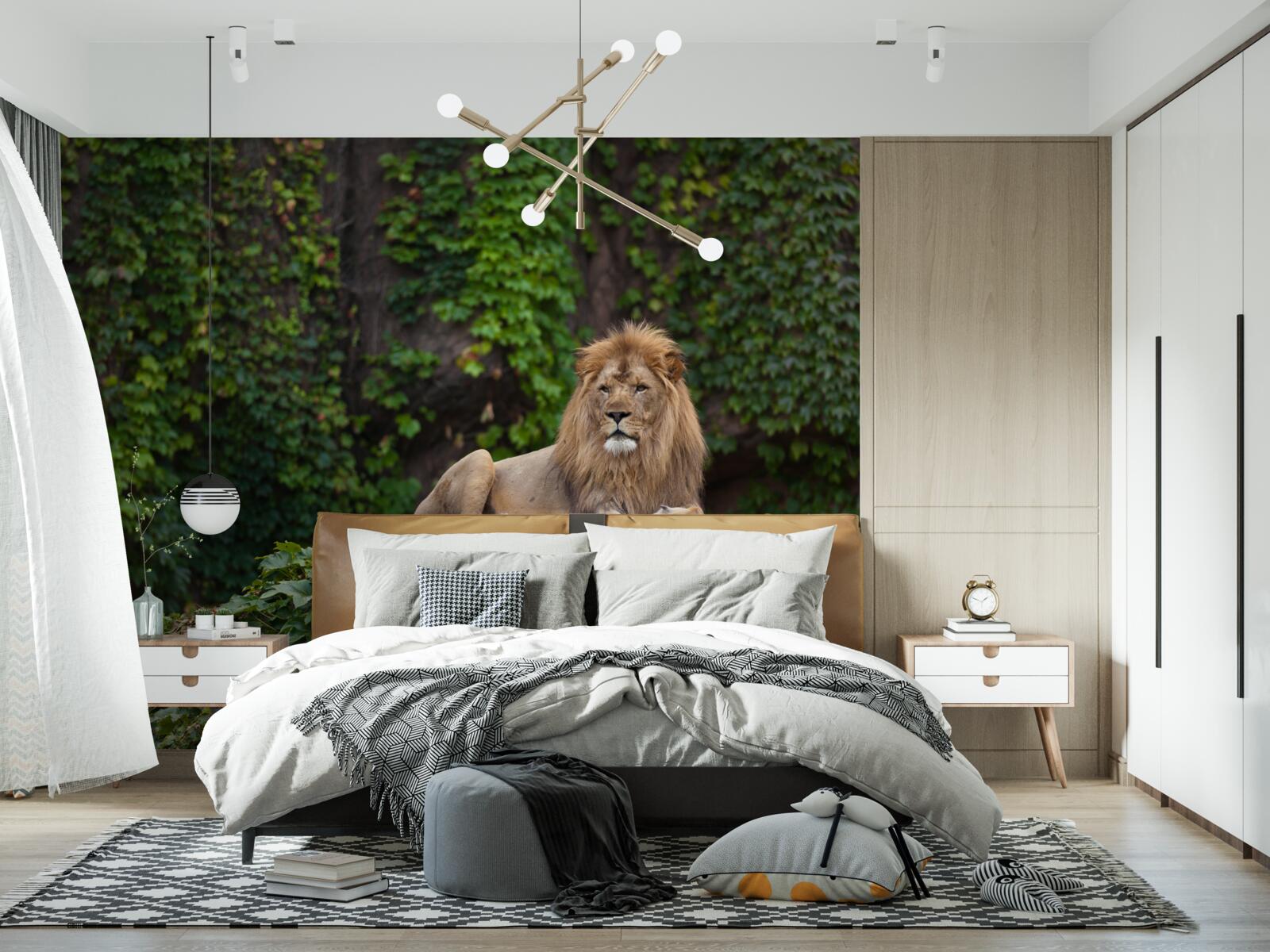 Fototapet un leu maiestuos se odihnește pe o piatră acoperită cu mușchi