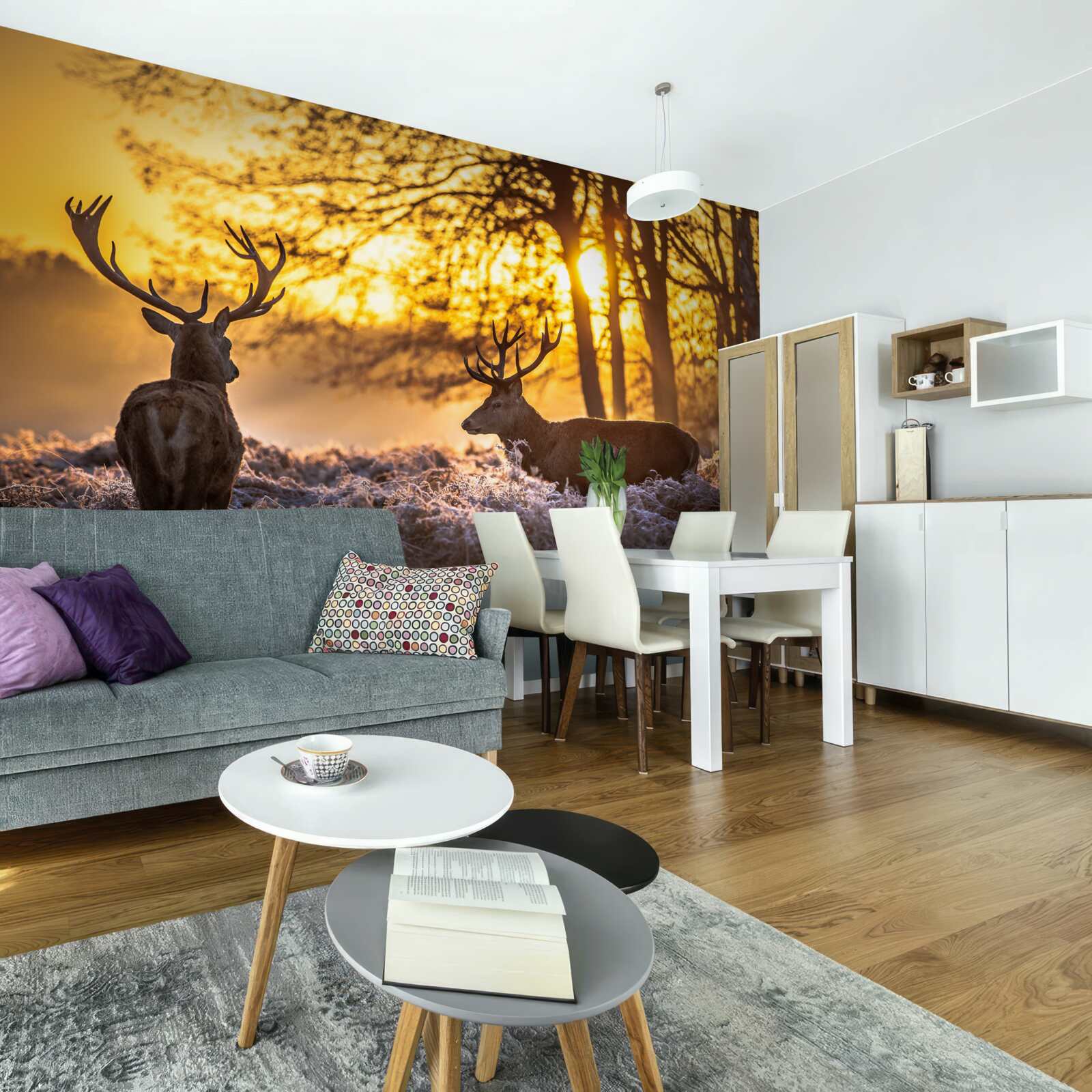 Fototapet apusul este însoțit de o căprioară adultă