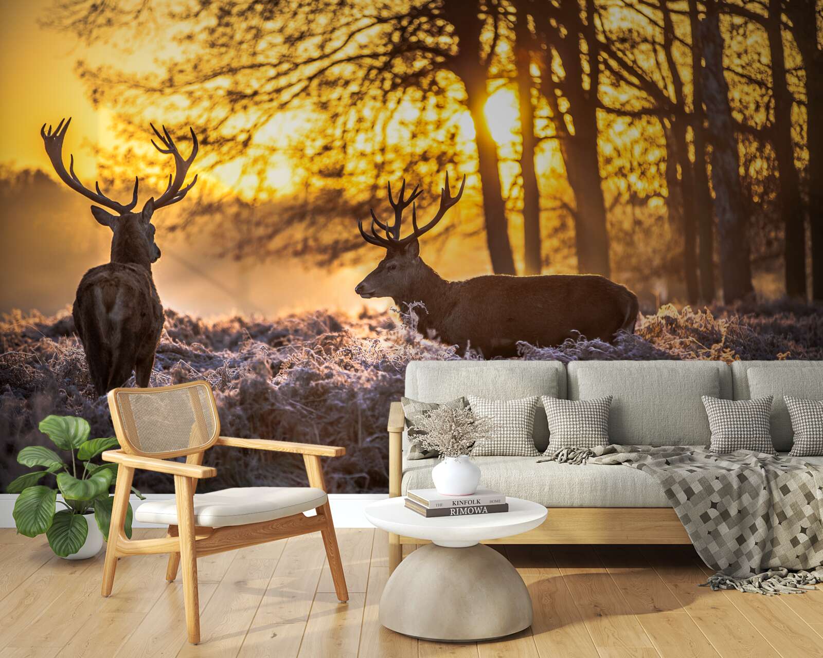 Fototapet apusul este însoțit de o căprioară adultă