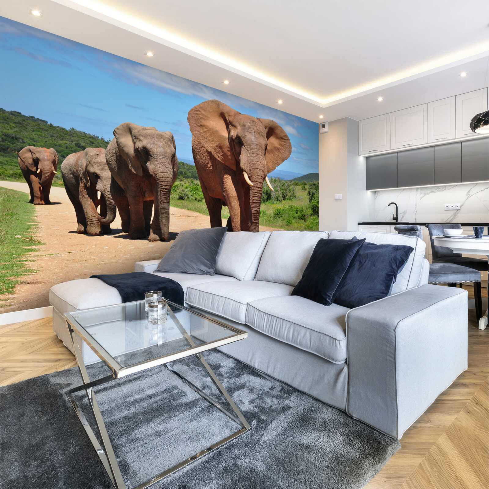 Fototapet Un grup de elefanți se întoarce acasă pe un teren nisipos