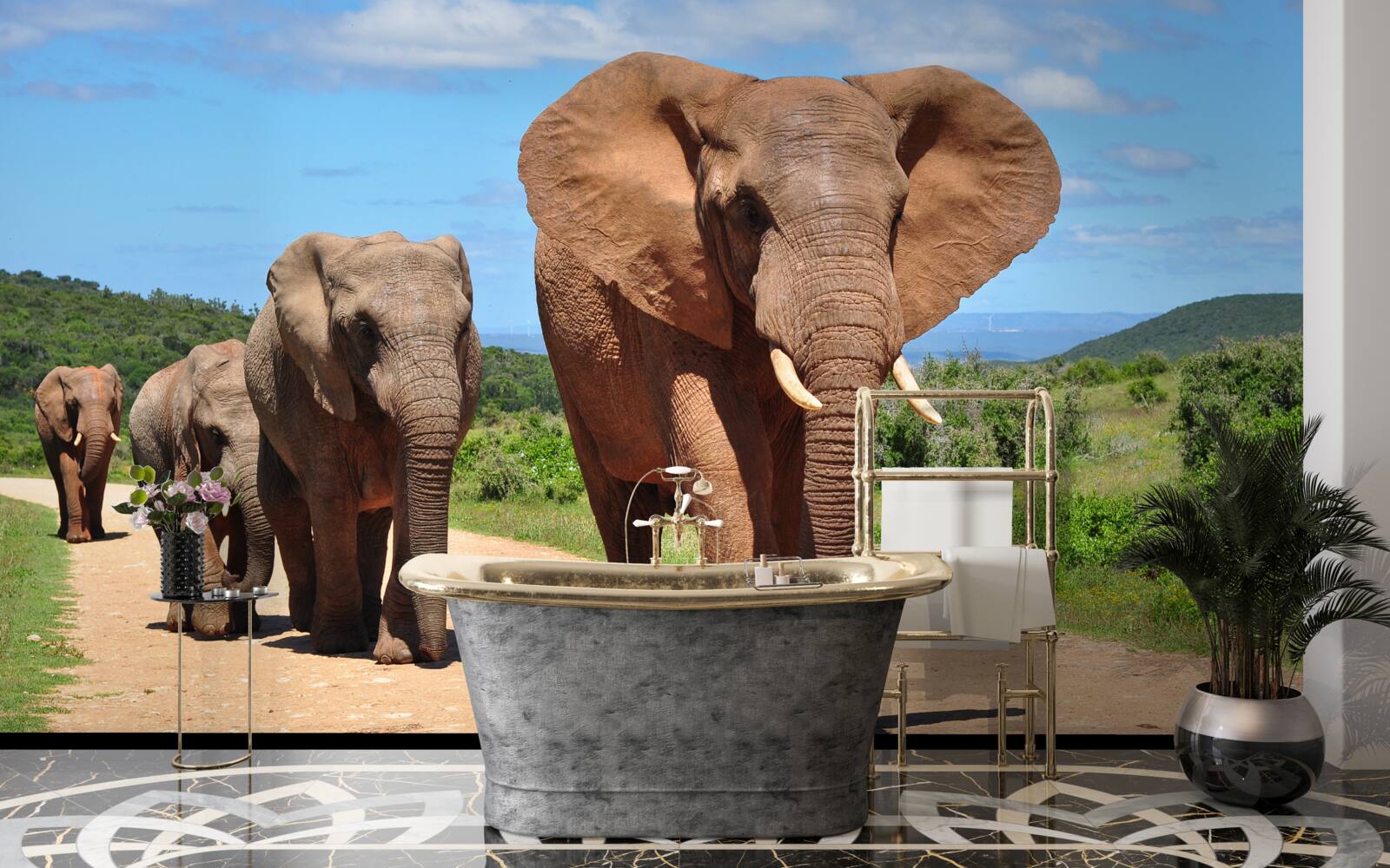 Fototapet Un grup de elefanți se întoarce acasă pe un teren nisipos