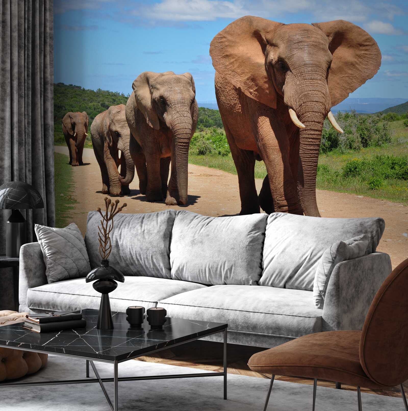 Fototapet Un grup de elefanți se întoarce acasă pe un teren nisipos