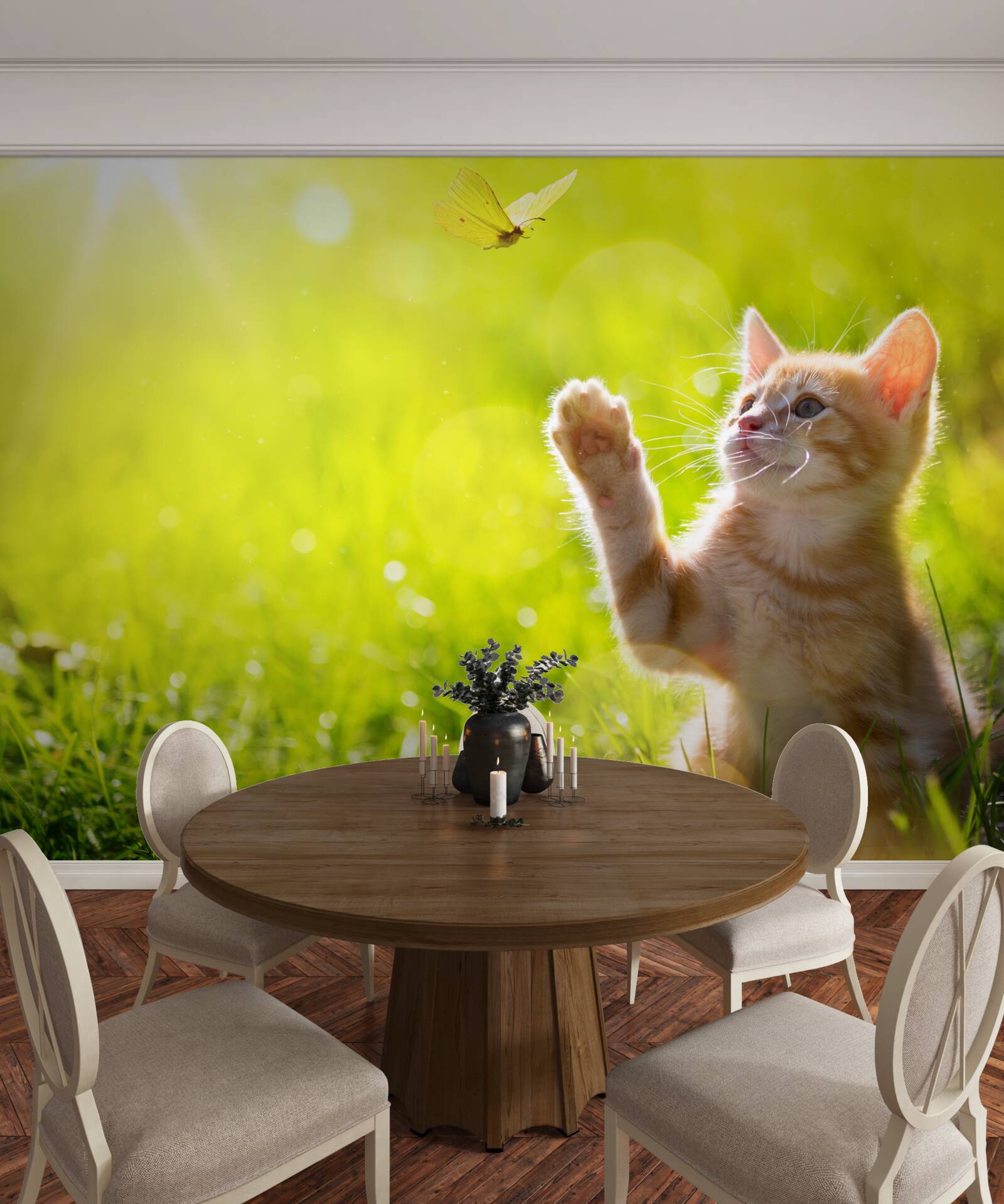 Fototapet o pisică mică se joacă cu un fluture pe un câmp verde