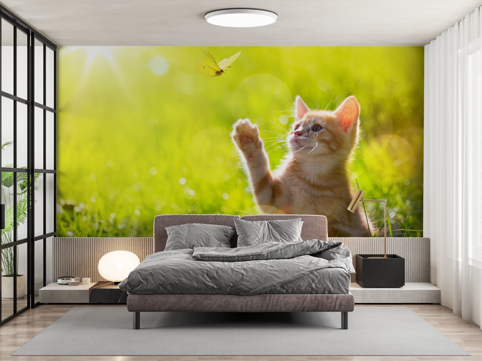 Fototapet o pisică mică se joacă cu un fluture pe un câmp verde