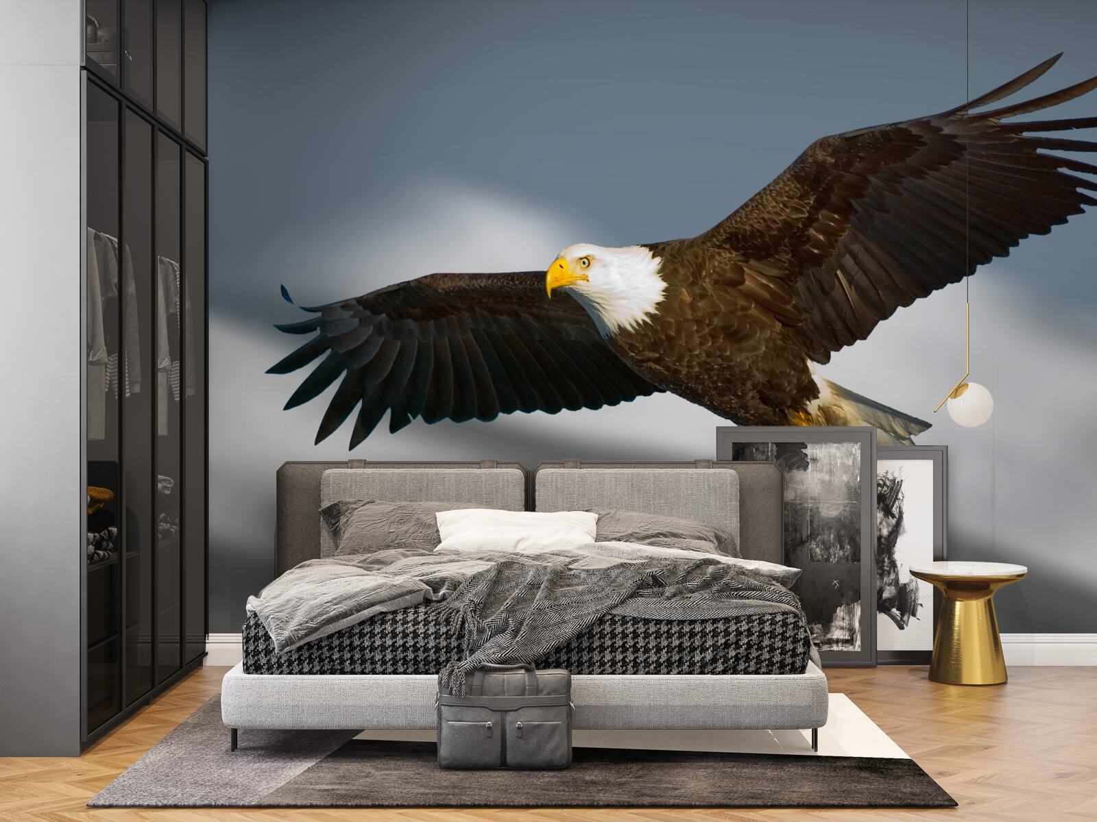 Fototapet un vultur cu coada albă se înalță pe cer