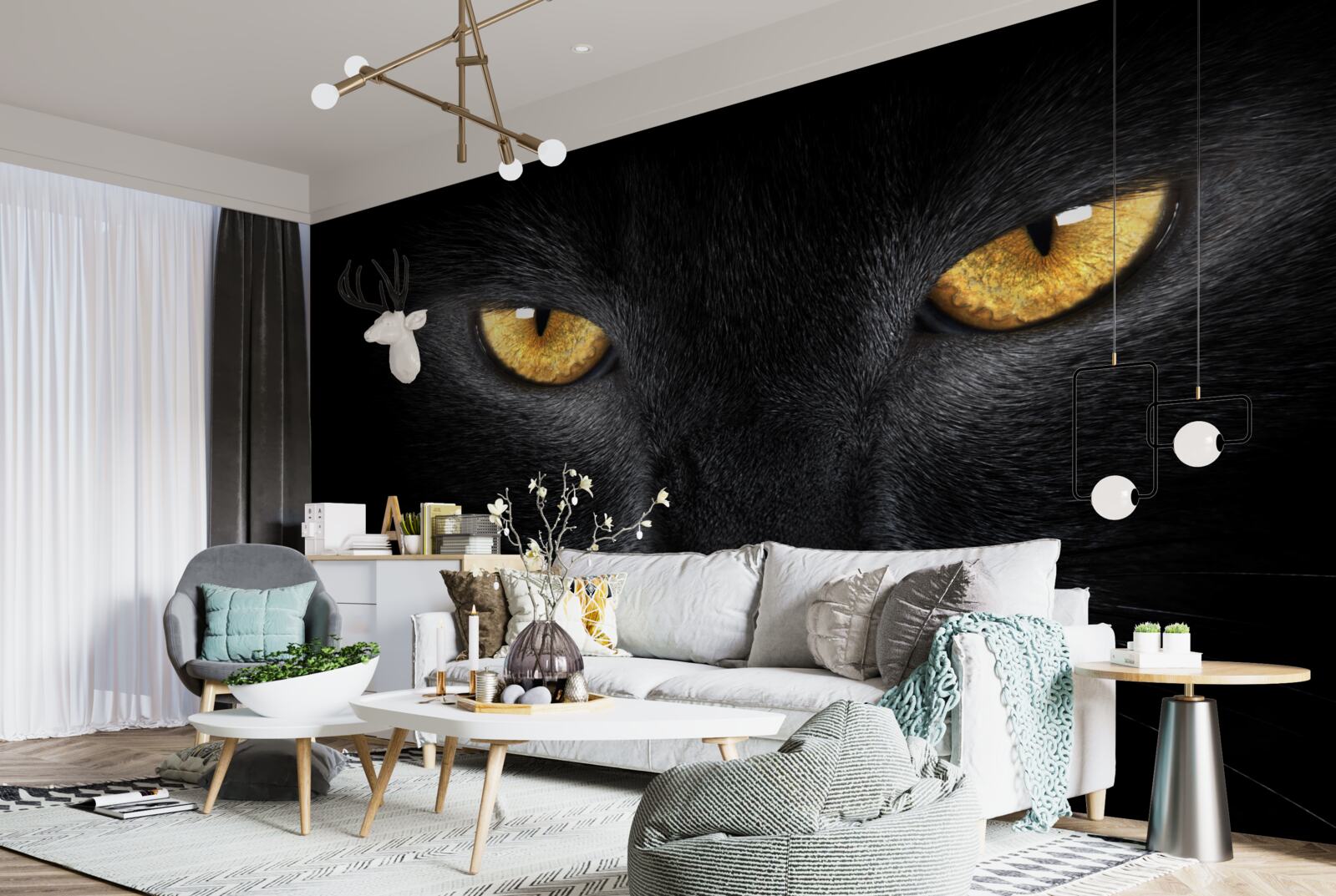 Fototapet privirea pătrunzătoare a unei pisici negre