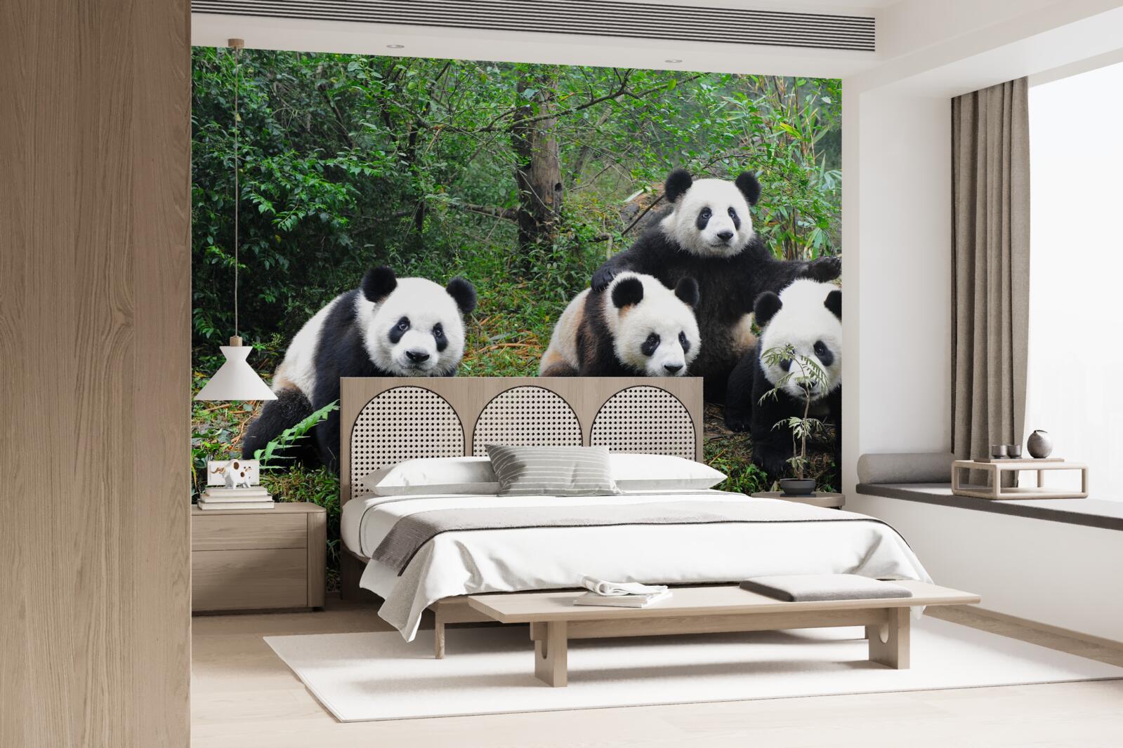 Fototapet o familie odihnitoare de panda adorabili