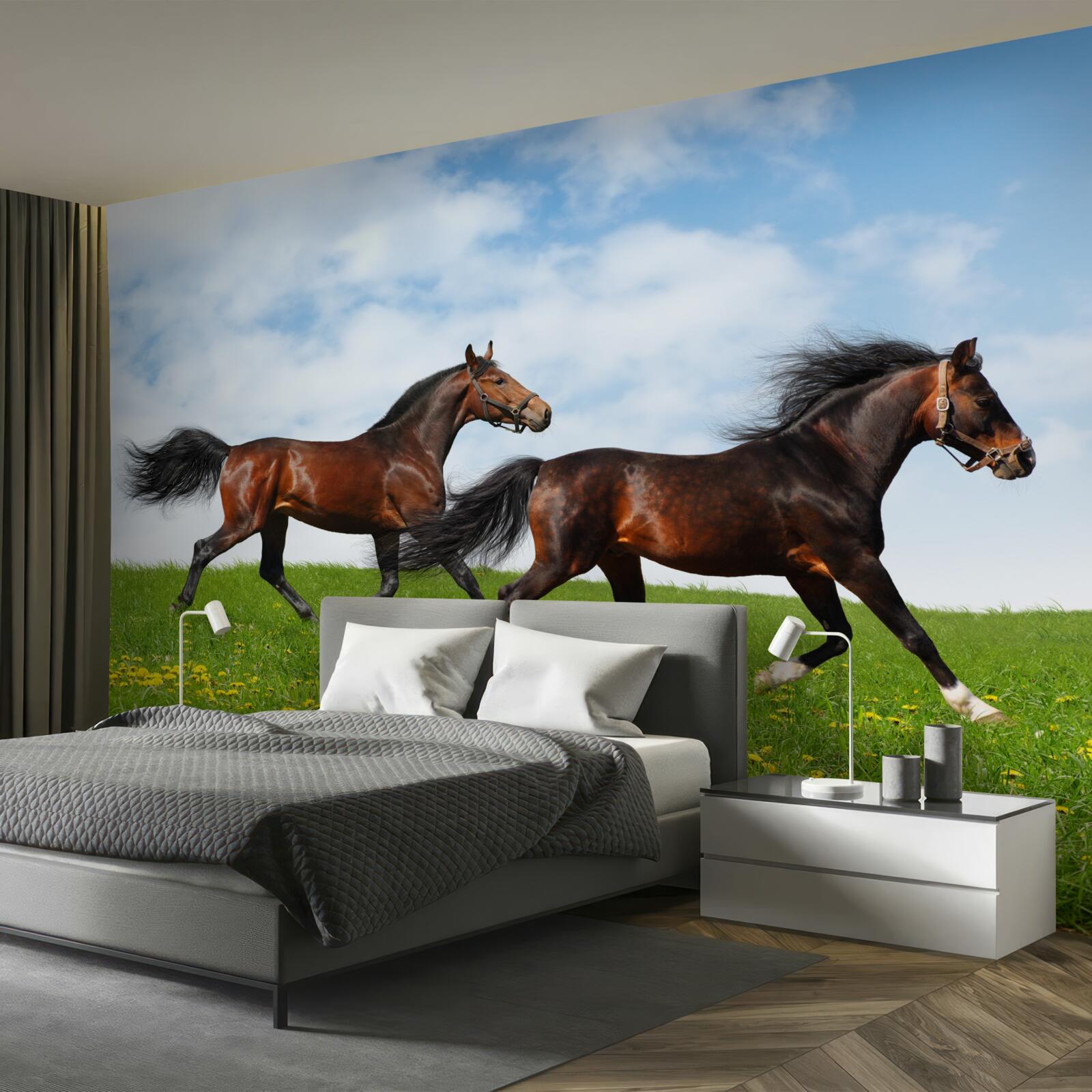 Fototapet cai timpurii alergând printr-un luminiș