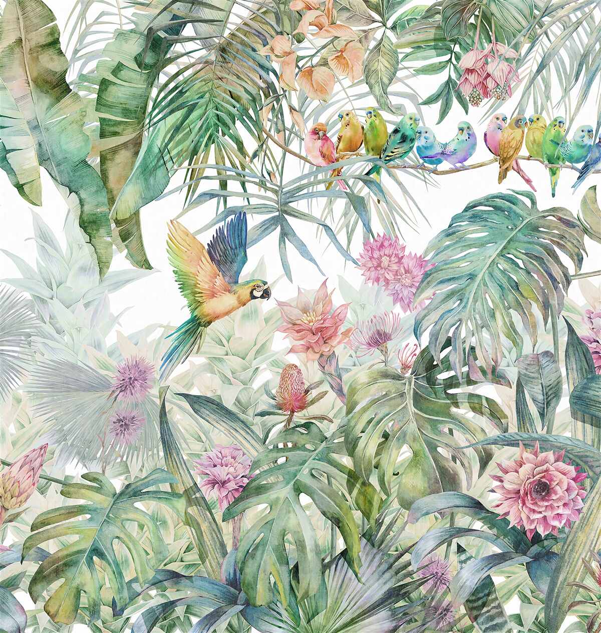 Fototapet o familie de papagali în pădurea tropicală