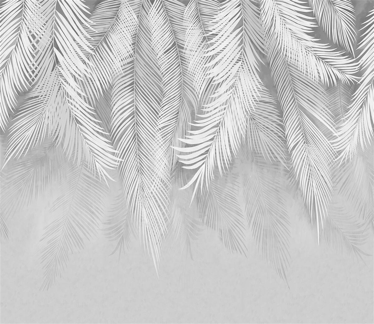 Fototapet frunze albe de palmier atârnă