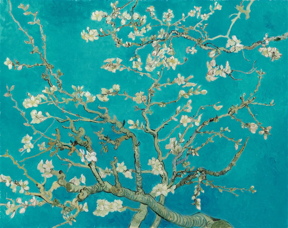 Fototapet ramuri de migdale înflorite