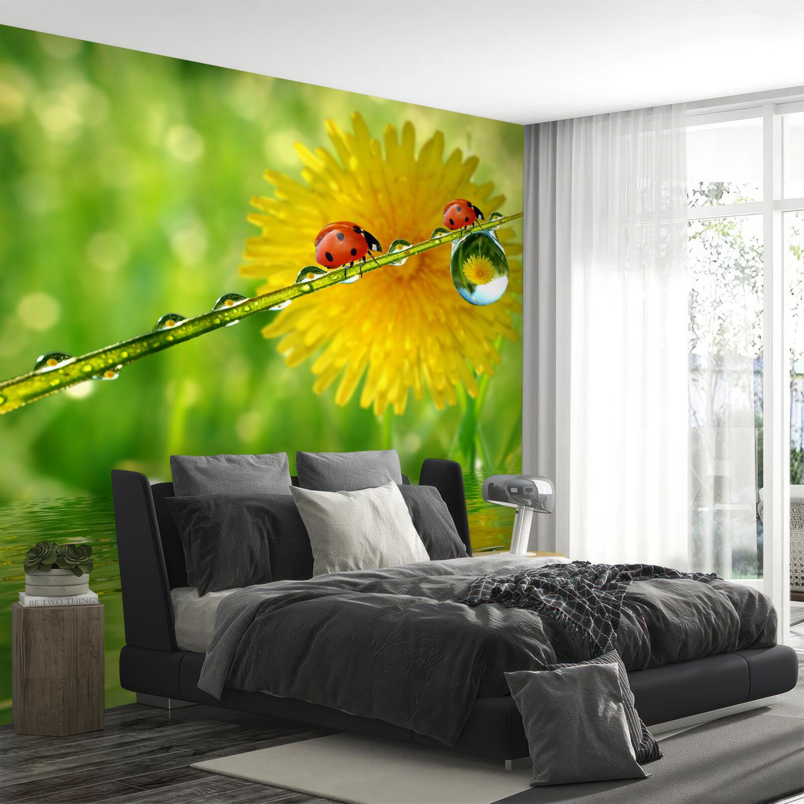 Fototapet Buburuzele după o furtună torențială