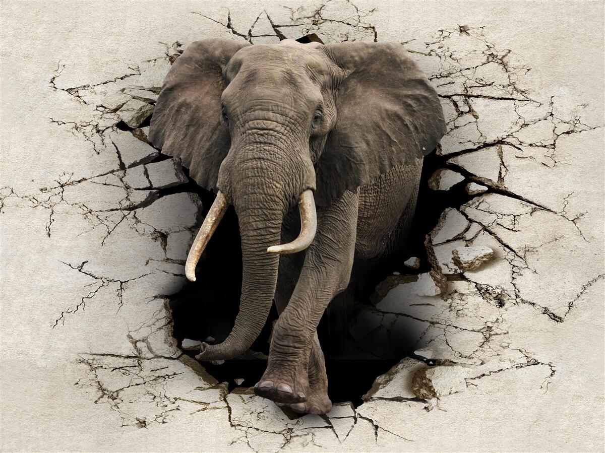 Fototapet elefantul trece printr-un obstacol