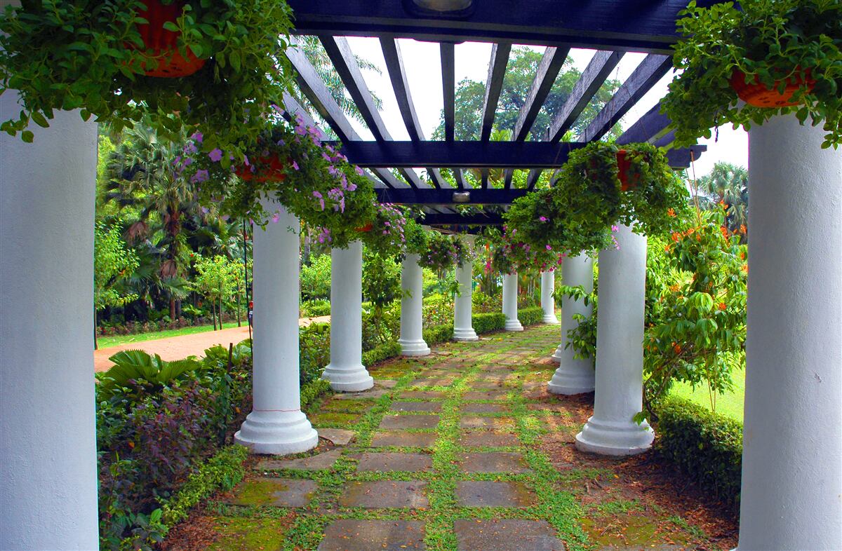 Fototapet coloane de beton alb în grădină