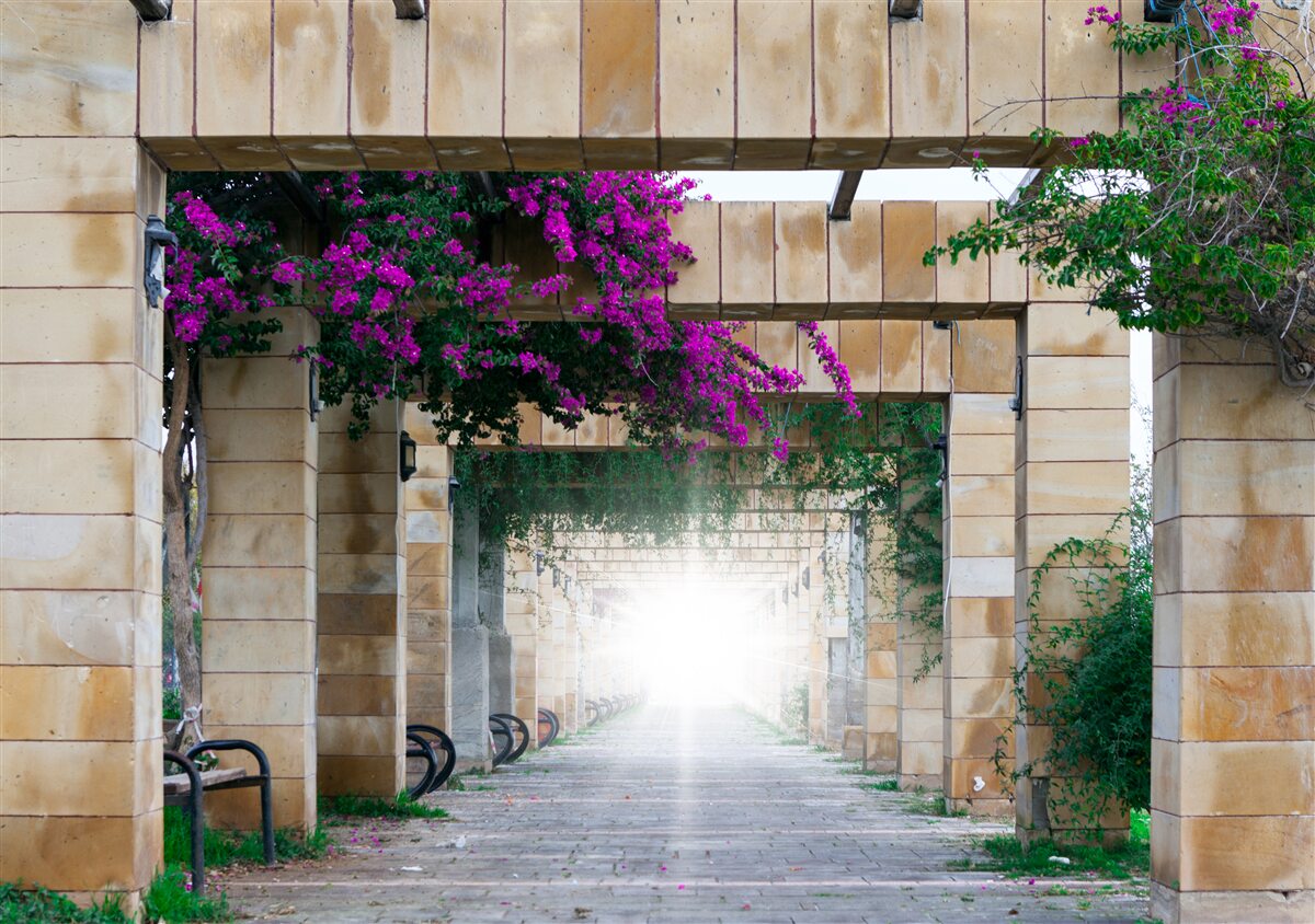 Fototapet arc dreptunghiular din piatră, decorat cu flori