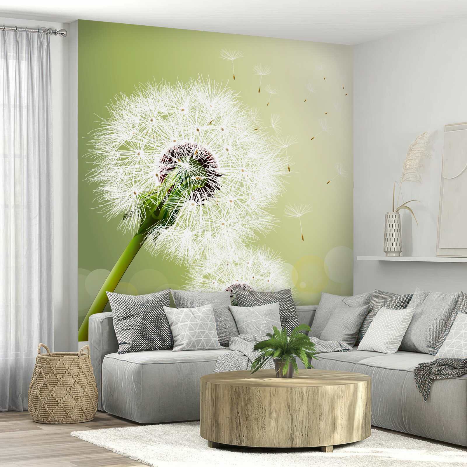 Fototapet păpădie albă care zboară în aer