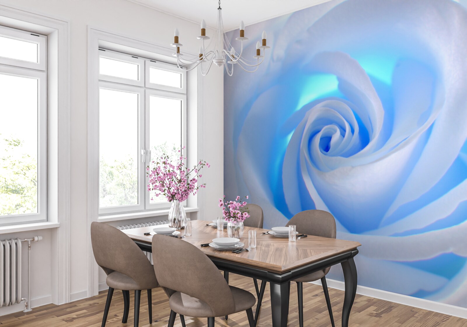 Fototapet lumina albastră strălucește prin trandafirul alb delicat