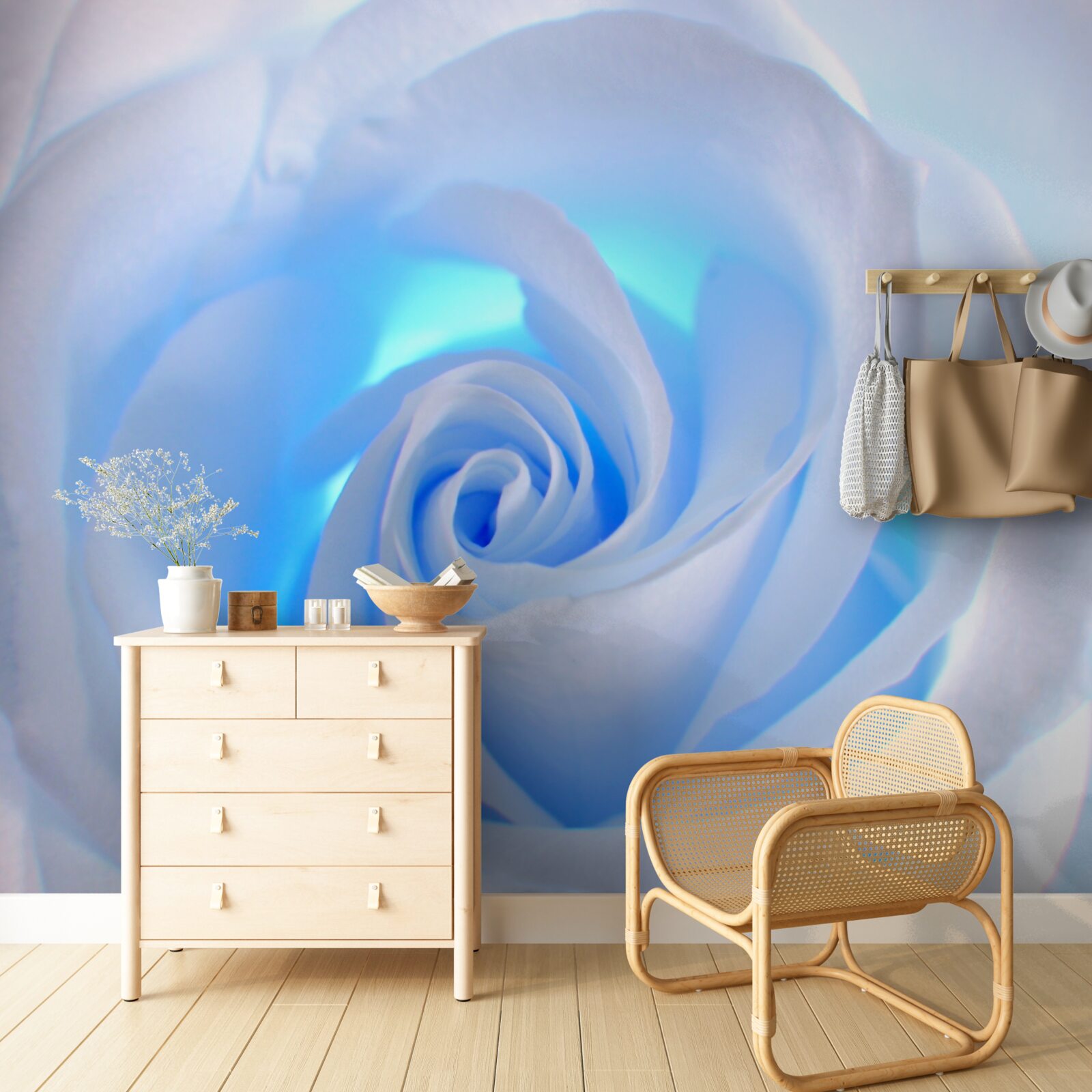 Fototapet lumina albastră strălucește prin trandafirul alb delicat