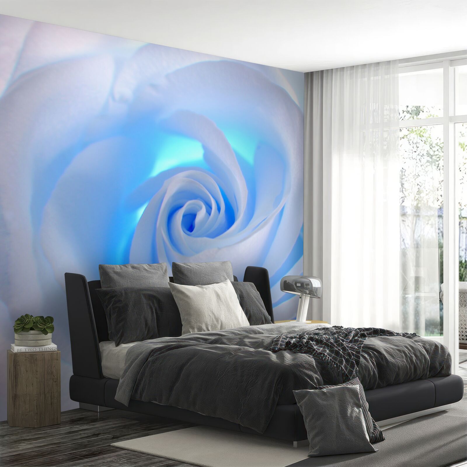 Fototapet lumina albastră strălucește prin trandafirul alb delicat