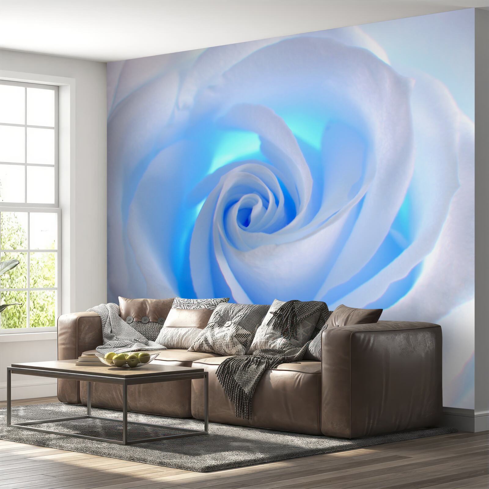 Fototapet lumina albastră strălucește prin trandafirul alb delicat