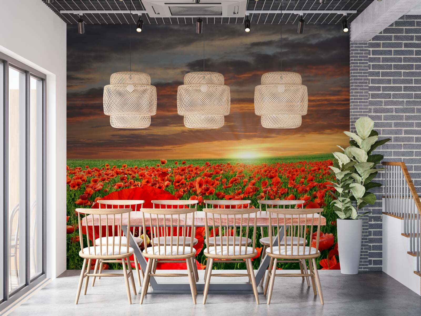 Fototapet apus de soare pe un câmp de maci cărămiziu