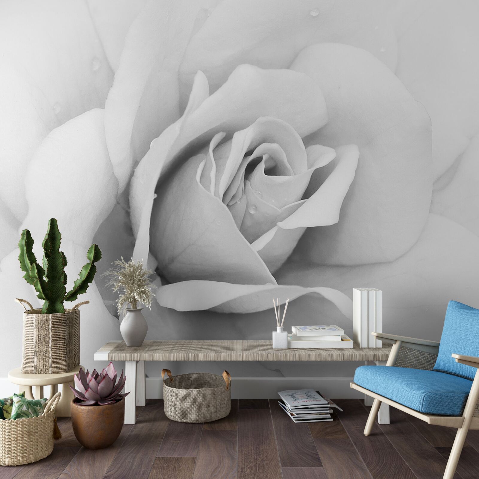 Fototapet imagine mărită a unui trandafir alb