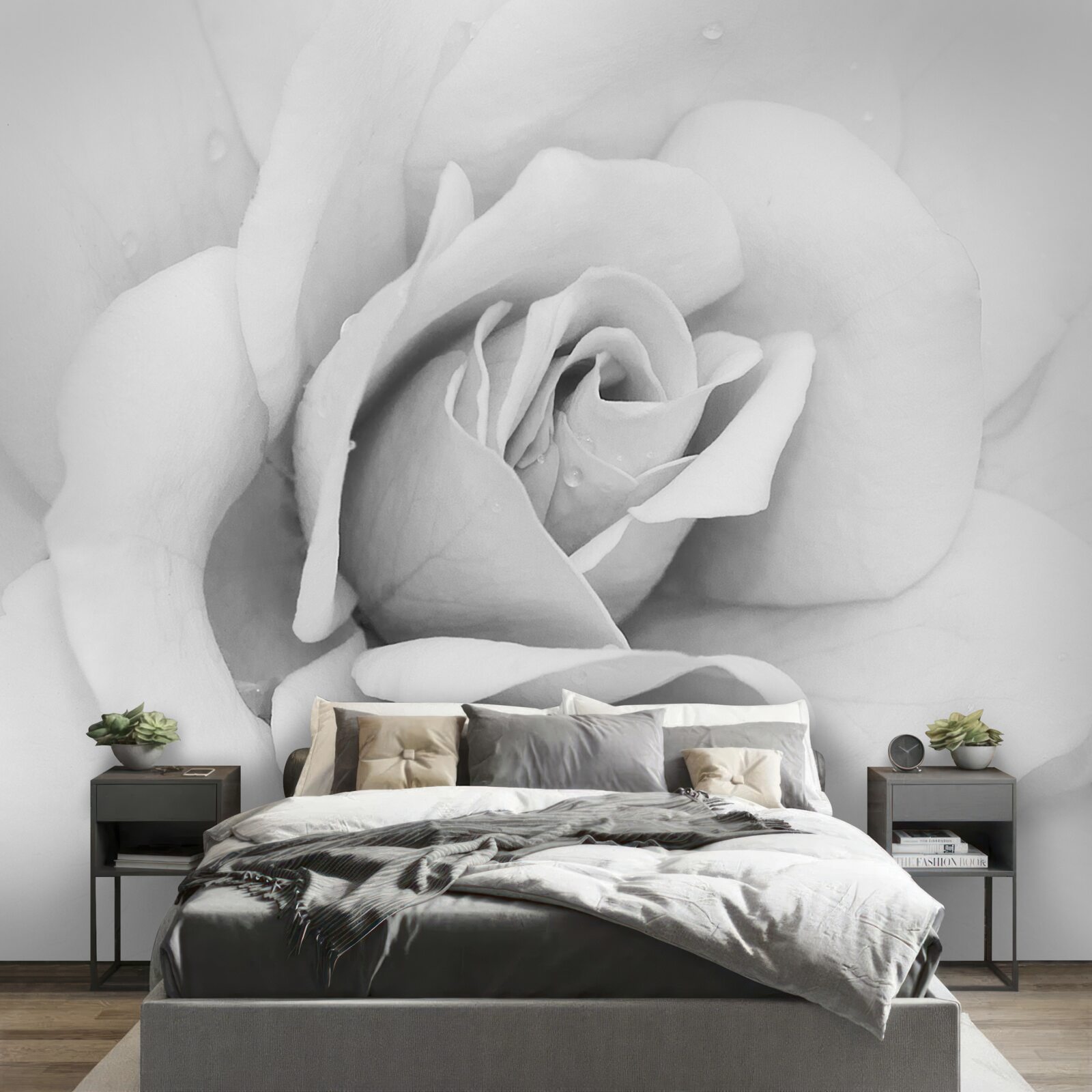 Fototapet imagine mărită a unui trandafir alb