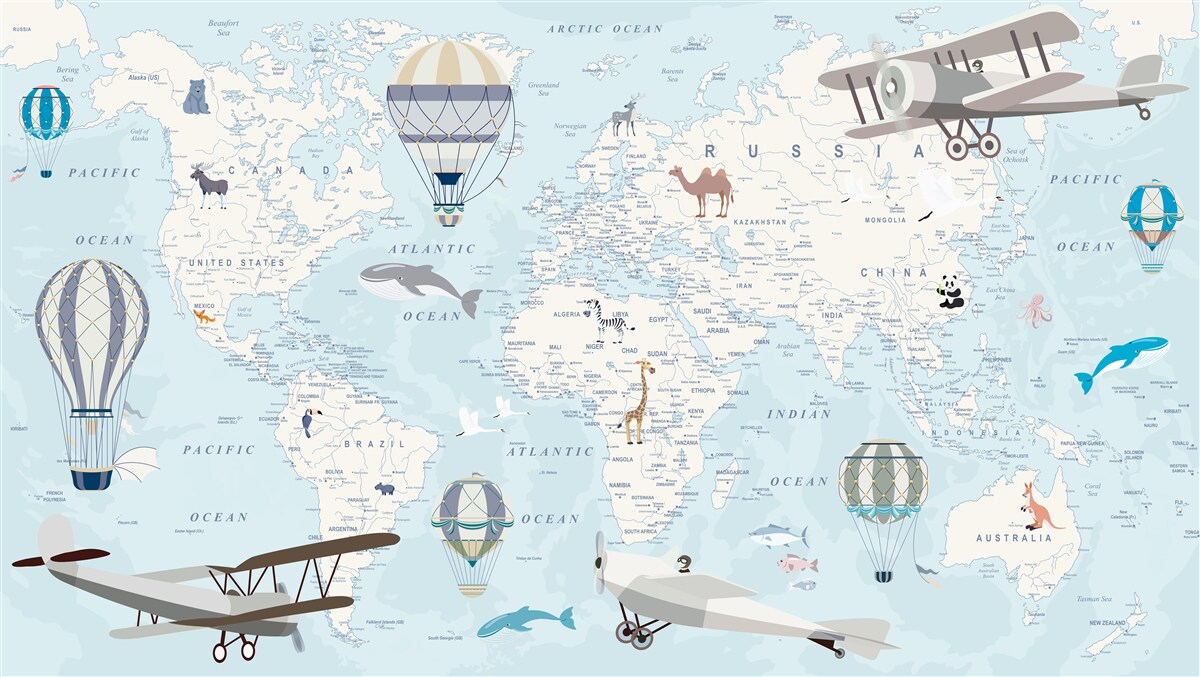 Fototapet hartă cu detalii, redată în albastru deschis