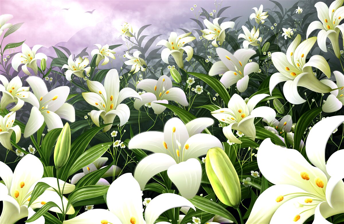 Fototapet covor alb ca zăpada de crini