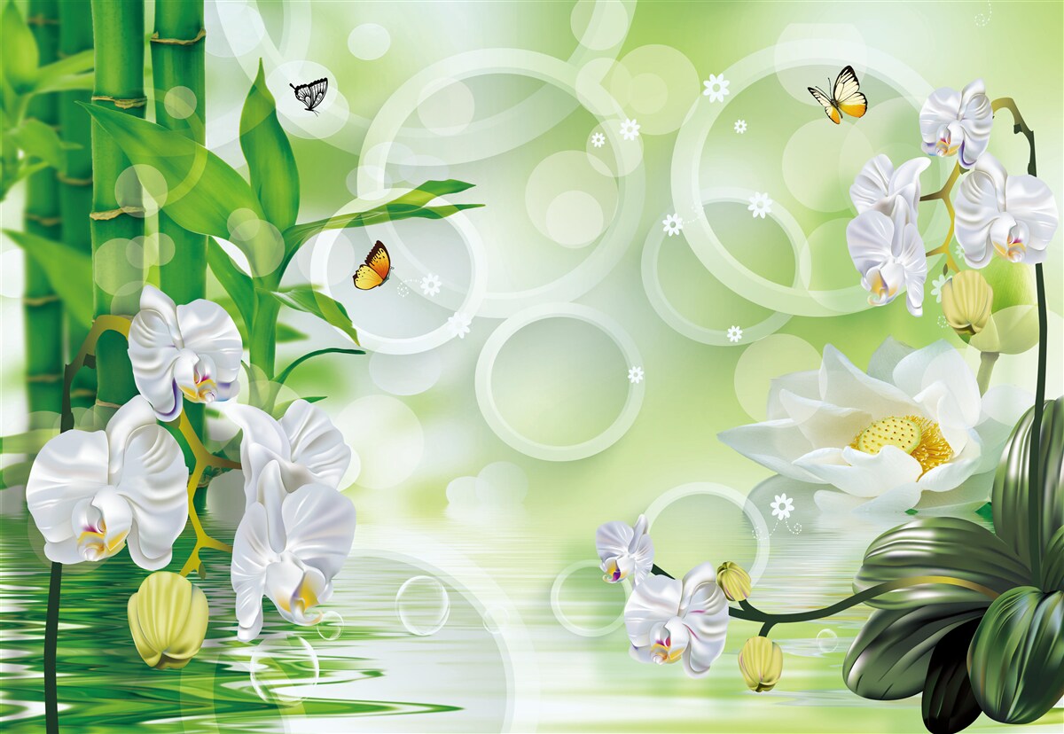 Fototapet bambusul verde și florile sunt reflectate în apă, înconjurate de cercuri albe