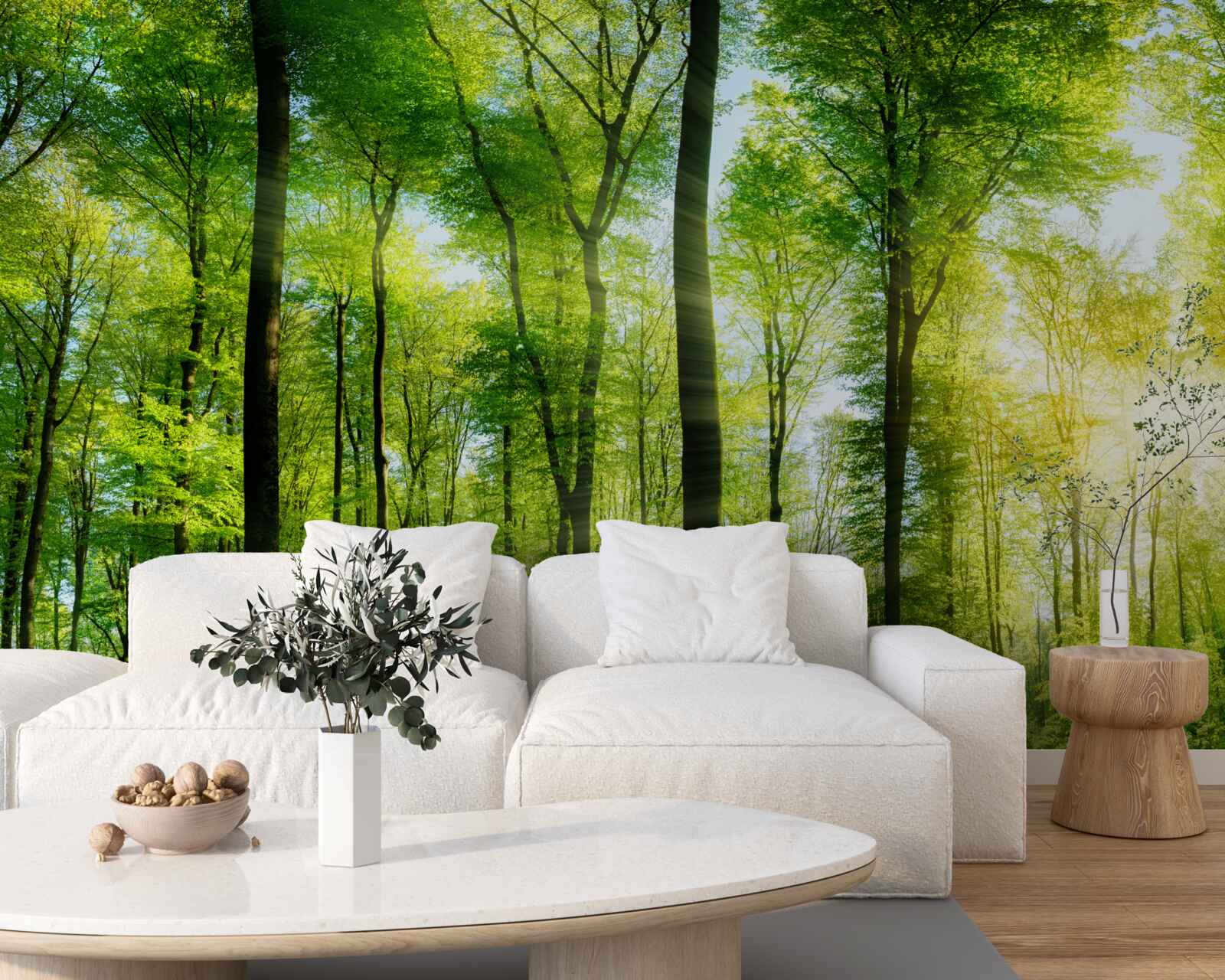 Fototapet razele soarelui pătrund în frunzele copacilor