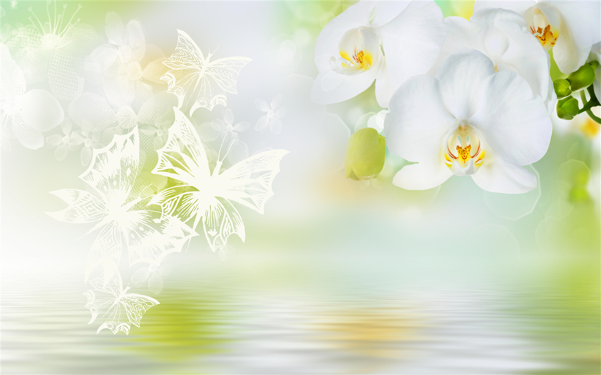 Fototapet Orhidee albe ca zăpada reflectate în apă