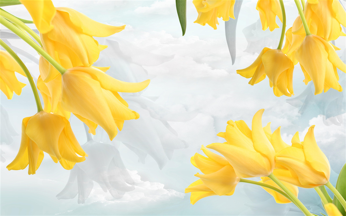 Fototapet Lalele galbene pe un cer albastru