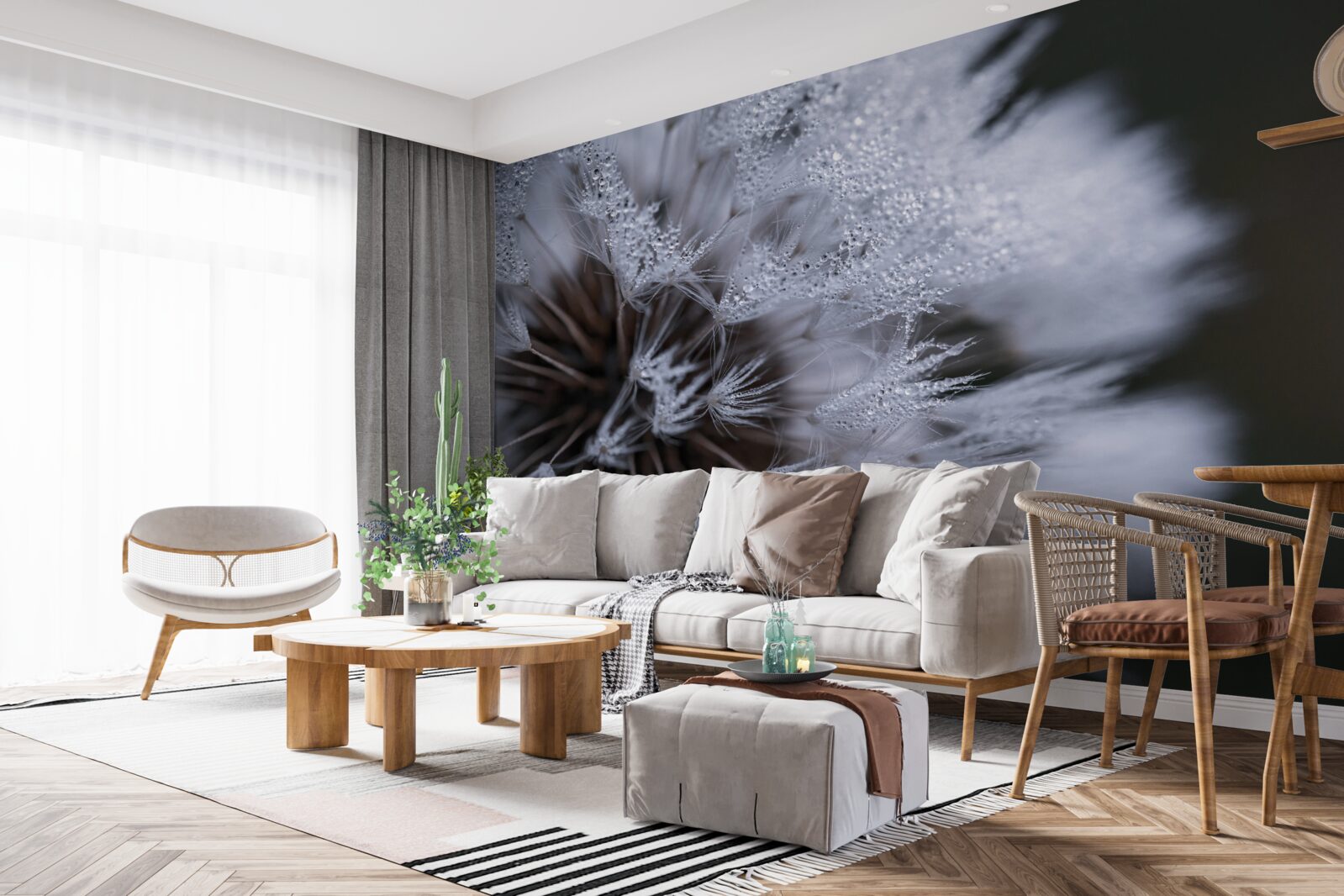 Fototapet flori de păpădie cu petale pufoase