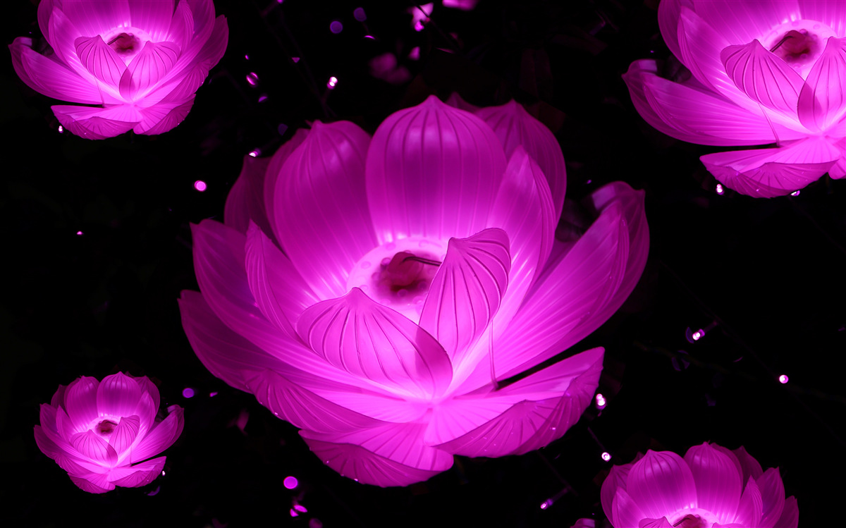 Fototapet flori mov în lumină neon