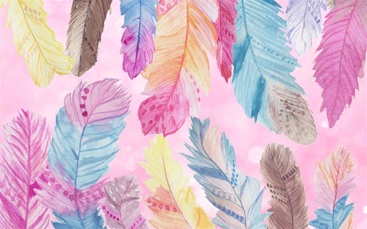 Fototapet pene cu diferite tonuri frumoase