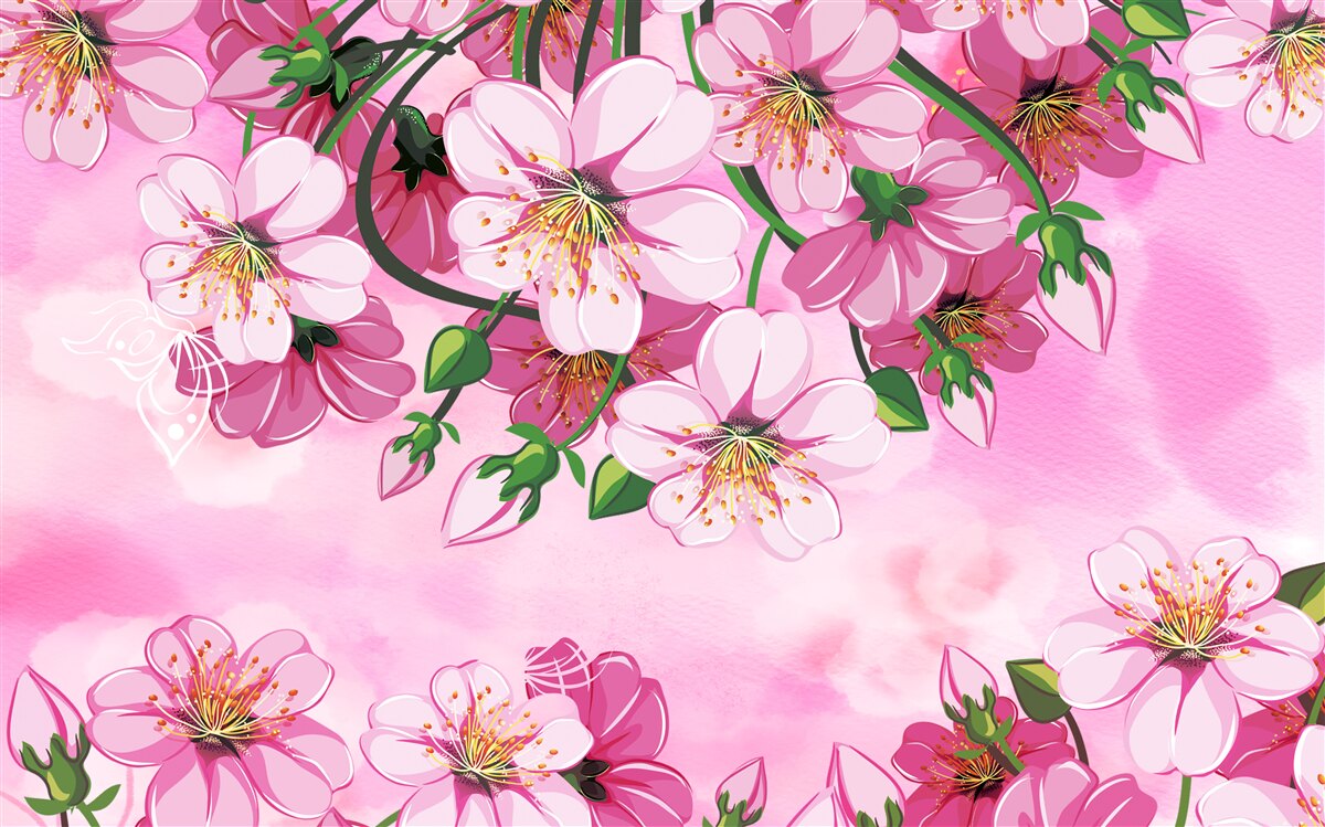 Fototapet Flori de cireș japonez