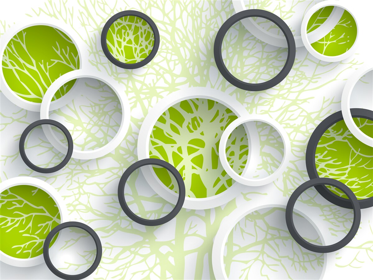 Fototapet cercurile lentilei reflectă verdele frunzelor copacilor