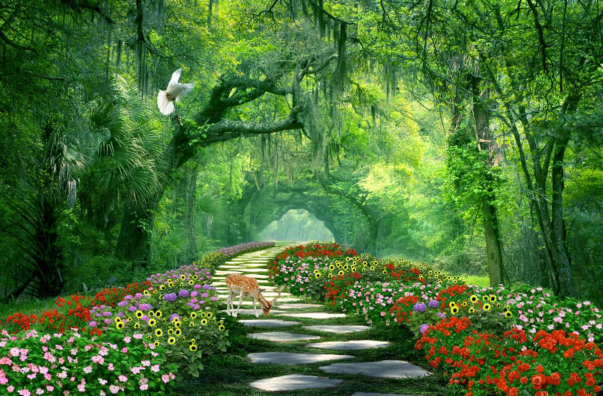 Fototapet o cărare tropicală plină de culoare, presărată cu flori, prin pădure