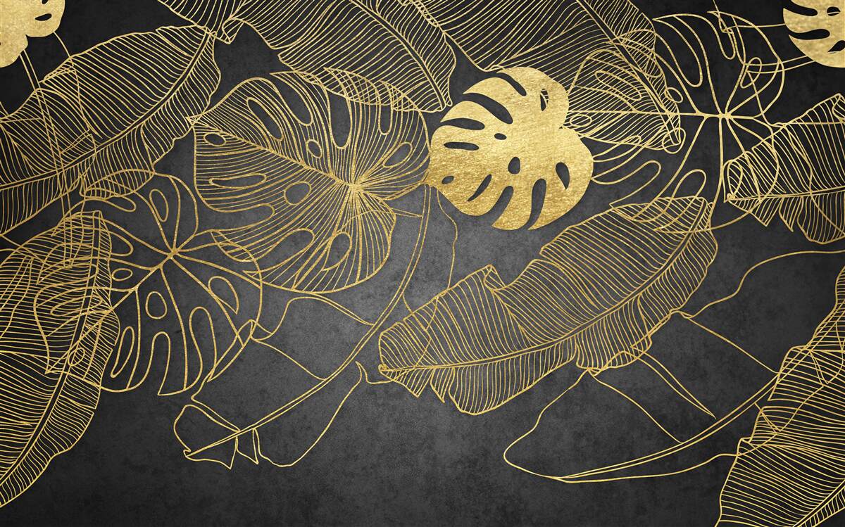 Fototapet monstera au frunze al căror contur corespunde diviziunii aurii