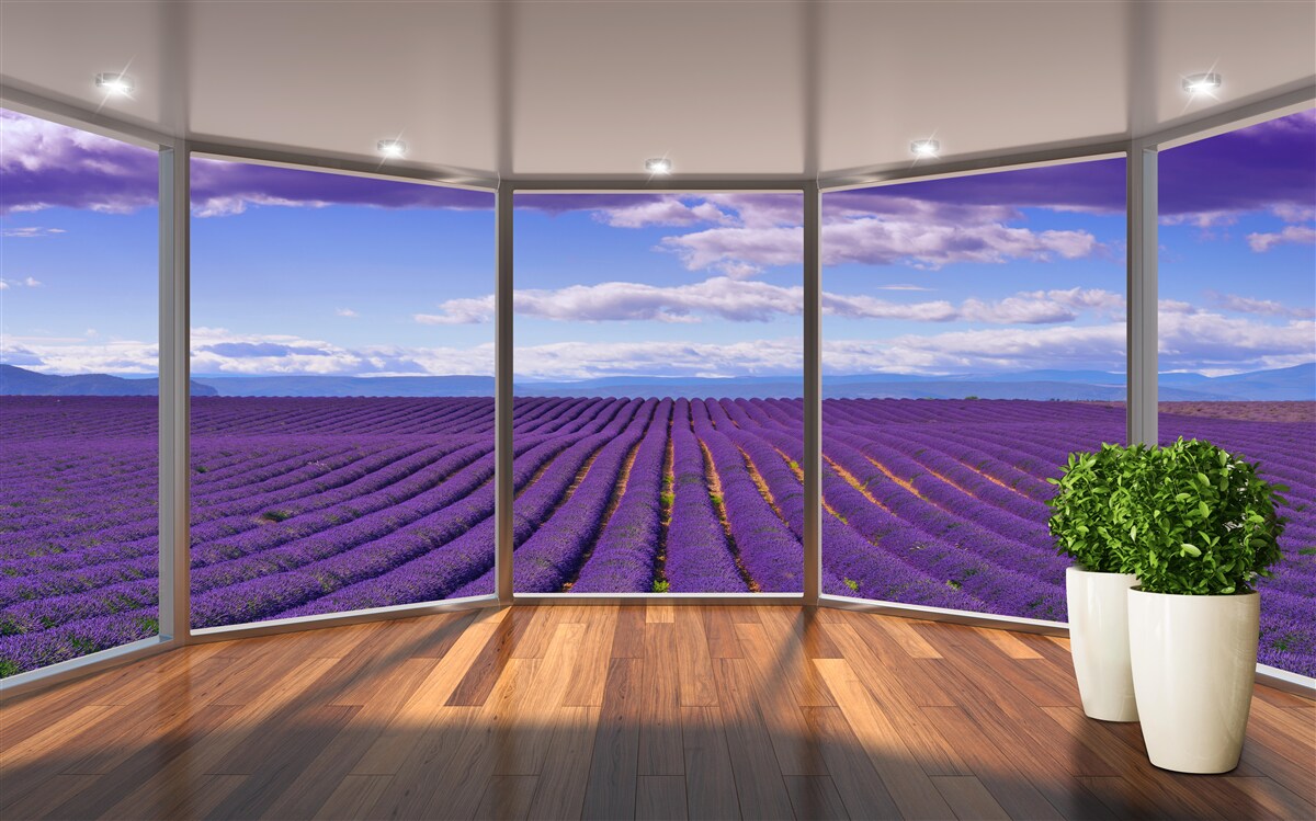 Fototapet vedere la câmpul de lavandă direct din balcon