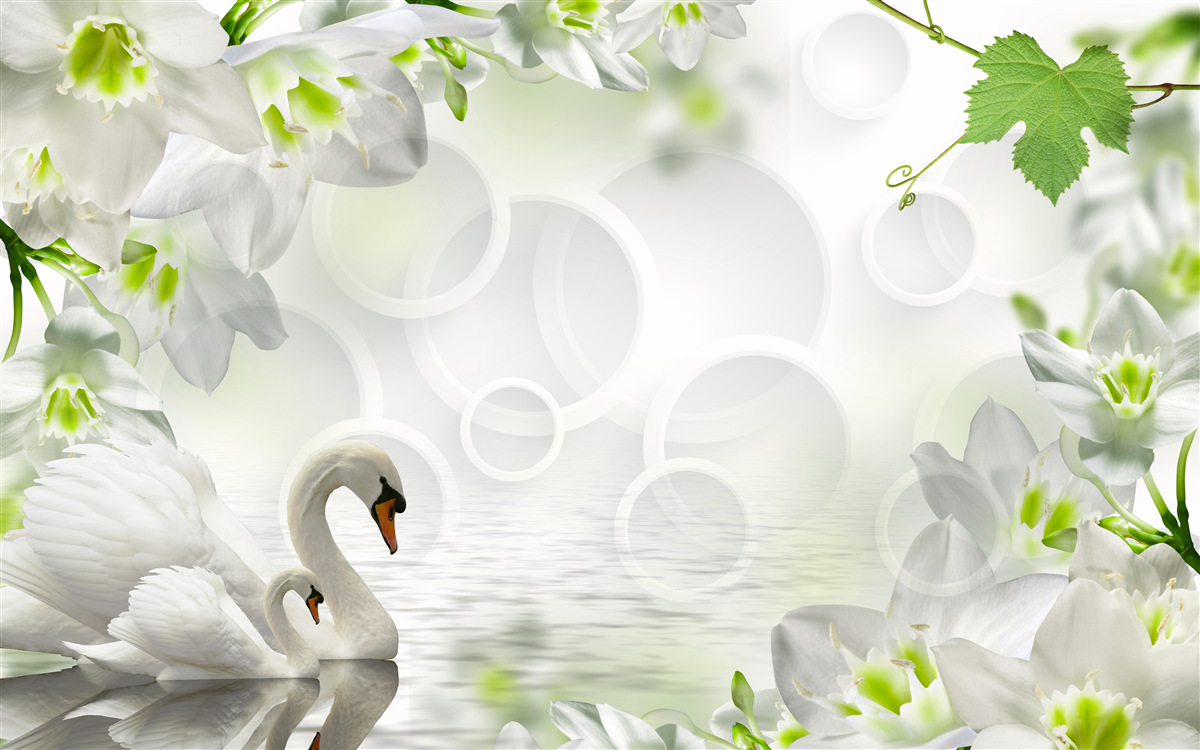 Fototapet flori albe pe un lac printre lebede