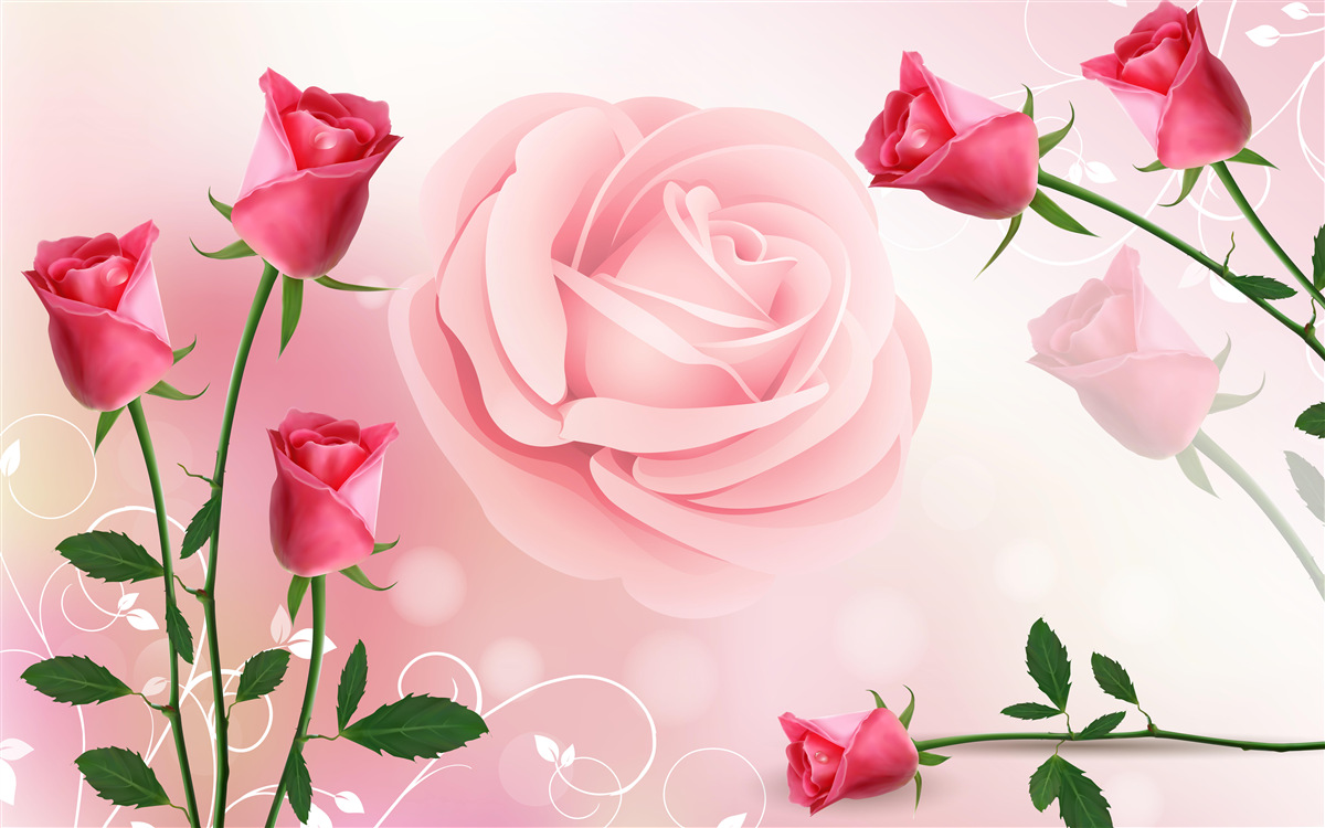 Fototapet set de boboci de trandafir roz