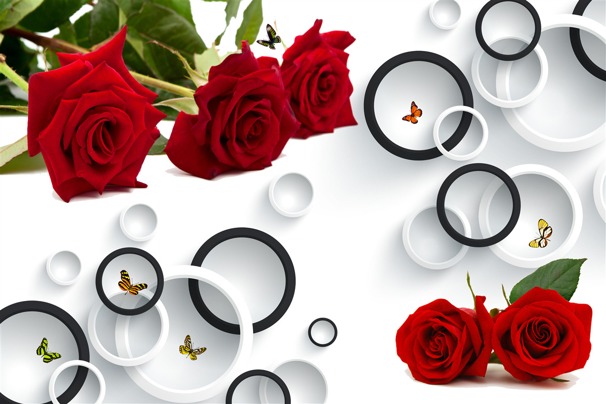 Fototapet cercuri și trandafiri în roșu