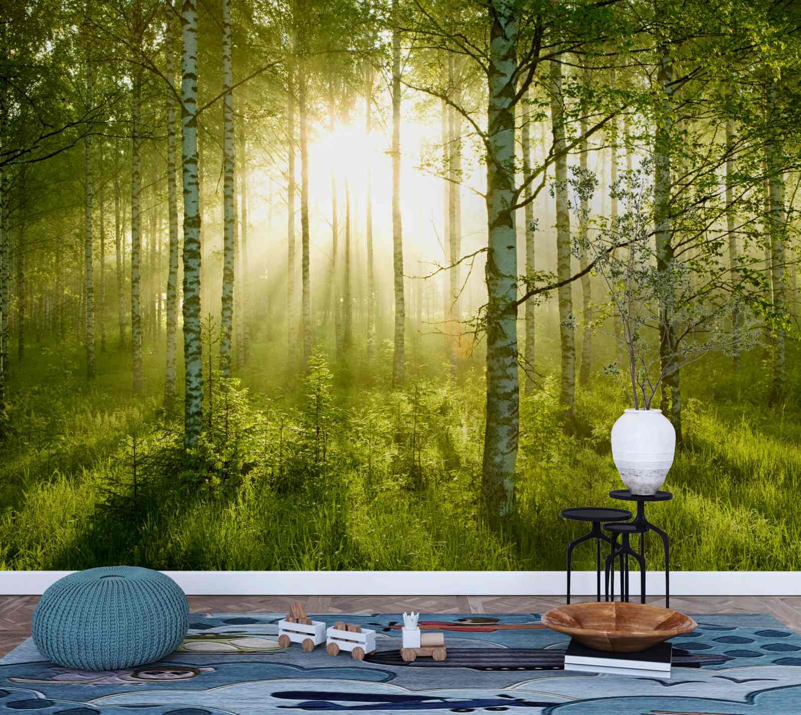 Fototapet Zori în pădurea de mesteceni