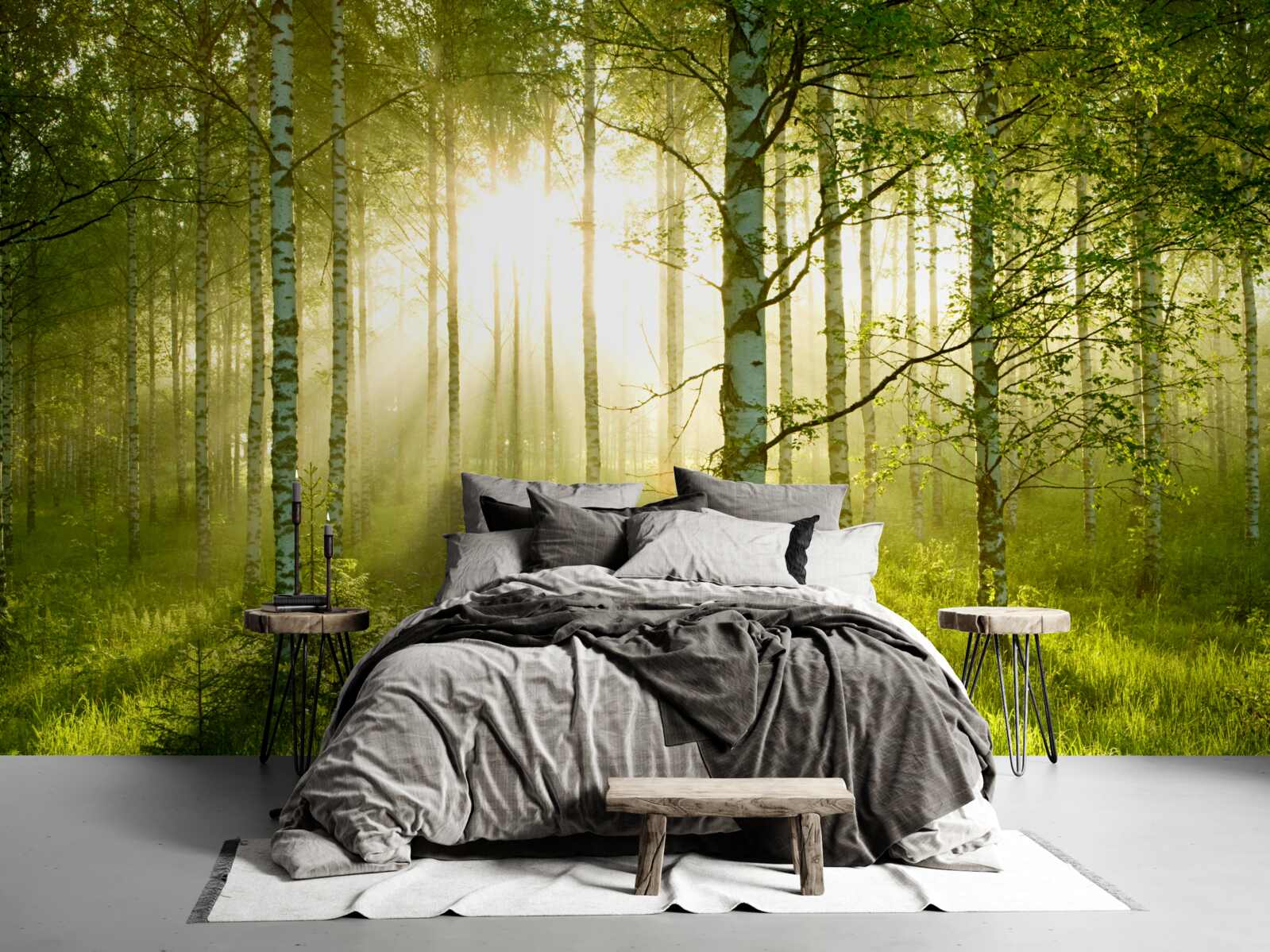 Fototapet Zori în pădurea de mesteceni